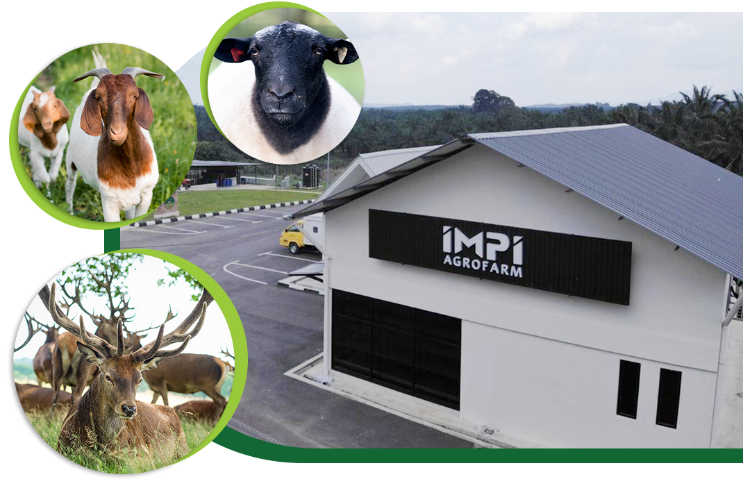 IMPI AGROFARM Building